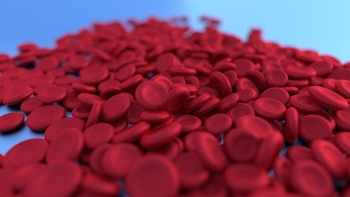 FDA批准首个丙酮酸激酶缺乏症成人溶血性贫血的疾病修饰疗法
