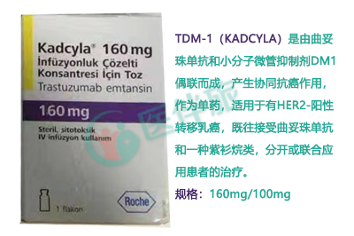 罗氏T-DM1可用于治疗什么疾病？