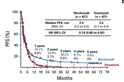 纳武单抗治疗非小细胞肺癌，5年比化疗高5倍生存率！