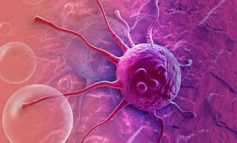 2023CSCO大会指南更新——小圆细胞肉瘤部分更新亮点