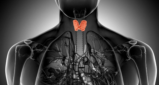 仑伐替尼“强者出击”甲状腺癌——靶向疗效如何?_医伴旅